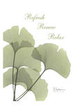 Buy Ginkgo in Green, Mind Body at AllPosters.com