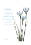 White Rain Lily, Faith