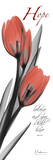 Hope, Red Tulip