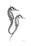 Sea Horse Twins