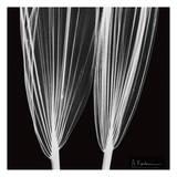 Buy Double Leaf White on Black at AllPosters.com