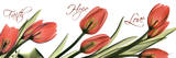 Tulips Across in Red, Faith