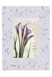Calla Faith With Purple Damask Frame