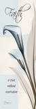 Faith, Blue Calla Lily