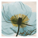 Buy Dream in Pale Blue at AllPosters.com