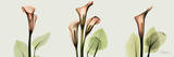 Spring Calla Lily Triple