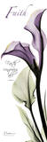 Calla Lily in Purple, Faith