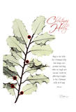 Buy Christmas Holly at AllPosters.com
