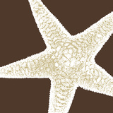 Natural Shell I