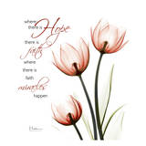 Swaying Tulips Pink, Hope