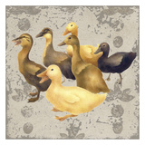 Dancing Ducks