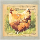 Poule Rousse