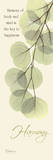 Harmony, Eucalyptus