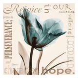 Rejoice, Blue Tulip