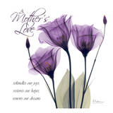 Buy Mothers, Purple Tulips at AllPosters.com