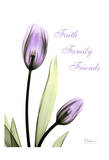 Purple Tulips, Faith