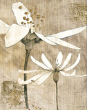 Buy Pencil Floral II at AllPosters.com