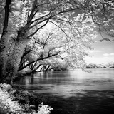 Spring on the River Square I
