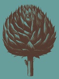 Artichoke, no. 5