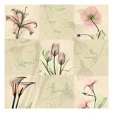 Buy Spring Squares I at AllPosters.com