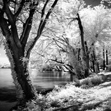 Buy Spring on the River Square II at AllPosters.com
