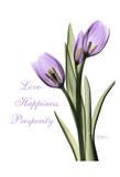 Buy Purple Tulips Love Happiness at AllPosters.com