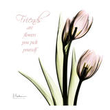 Buy Tulip Friends at AllPosters.com
