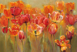 Tulips in the Midst III