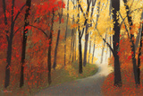 Autumn Road