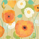 Daisies and Poppies I