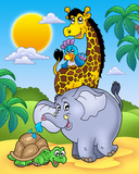 African Animals II