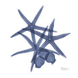 Sea Life in Blue