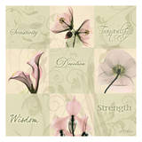Buy Spring Squares II at AllPosters.com