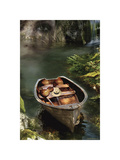 Memories of the Old Lake II
