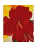 Red Amaryllis, c.1937