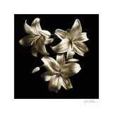 Buy Three Lilies at AllPosters.com