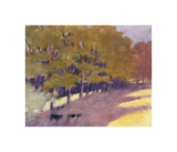 Mr. Hamilton's Heifers Giclee Print