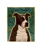 Brindle Pit Bull