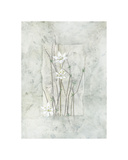 Buy Entwined Elegance at AllPosters.com