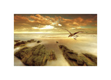 Buy Soft Sunrise on the Beach, no. 4 at AllPosters.com
