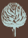 Buy Artichoke, no. 17 at AllPosters.com