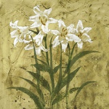 Buy Breath of Air at AllPosters.com