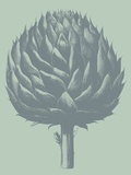 Buy Artichoke, no. 8 at AllPosters.com