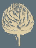 Artichoke, no. 2