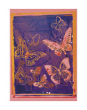 Vanishing Animals: Butterflies, c.1986 (Peach on Navy)