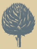 Buy Artichoke, no. 1 at AllPosters.com