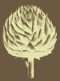 Buy Artichoke, no. 4 at AllPosters.com