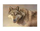 Wolf Portrait