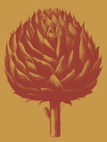 Buy Artichoke, no. 15 at AllPosters.com
