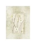 Buy Entwined Grace at AllPosters.com